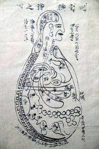 Museum of Traditional Vietnamese Medicine, The channels and vessels, Livro de acupunctura, Cidade de Ho Chi Minh, Vietname de Unbekannt