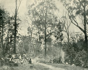 Esportes nativos, lago Tyers, 1901. de Unbekannt