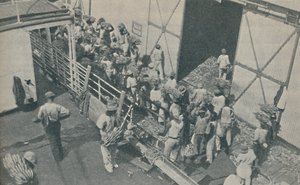 Nativos carregando bananas em Kingston, Jamaica, cantam salmos escoceses, 1937 de Unbekannt