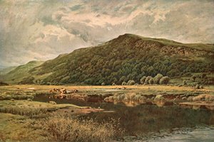 Naturezas Mirror, 1882, c1902. de Unbekannt