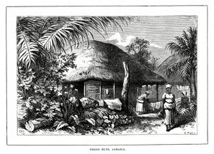 Negro Huts, Jamaica, século XIX de Unbekannt