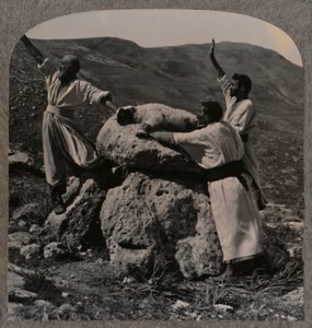 Oferecendo sacrifício de cordeiro no Altar, Moreh, c1900 de Unbekannt