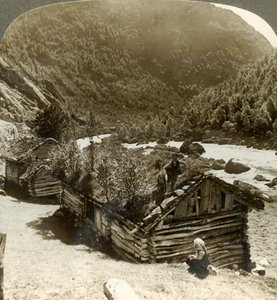 Casas de log velhas em Bratslandsdal, com as árvores que crescem em telhados cobertos de grama, Noruega, c1905. de Unbekannt