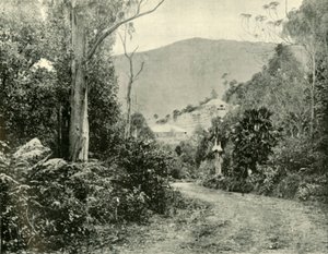 Na estrada de Illawarra, NSW, 1901. de Unbekannt