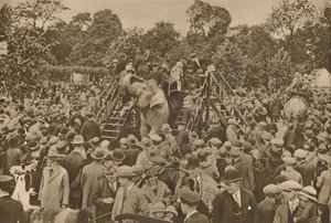 Um dos sinais de nossa civilização: jardins zoológicos bem abastecidos para encantar os curiosos, c193 de Unbekannt