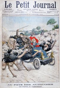 Avestruzes atacando um carro, Califórnia, EUA, 1904 de Unbekannt