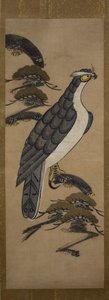 Otsu-e de Falcão em um pinheiro, século 18. de Unbekannt