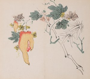 Página de Shi Zhu Zhai. de Unbekannt