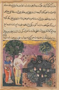 Página de Contos de um papagaio Tuti-nama: Décima oitava noite: O príncipe, c. 1560 de Unbekannt