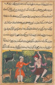 Página de Contos de um papagaio Tuti-nama: Décima oitava noite: O príncipe se encontra ..., c. 1560 de Unbekannt