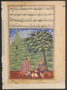 Página de Contos de um papagaio Tuti-nama: Oitava noite: A esposa infiel explicando ..., c. 1560 de Unbekannt