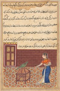 Página de Contos de um papagaio Tuti-nama: Quinquagésima primeira noite: O papagaio se dirige a Khujasta ..., c. 156 de Unbekannt
