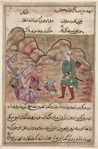 Página de Contos de um papagaio Tuti-nama: Cinquenta e duas noites: O filho do homem piedoso ..., c. 1560 de Unbekannt