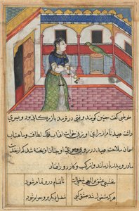 Página de Contos de um papagaio Tuti-nama: Quadragésima segunda noite: O papagaio endereça ..., c. 1560 de Unbekannt