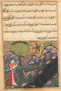 Página de Contos de um papagaio Tuti-nama: Décima sexta noite: A nora ..., c. 1560 de Unbekannt