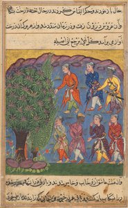 Página de Contos de um papagaio Tuti-nama: Sexta noite: Sete homens disputando posse ..., c. 1560 de Unbekannt