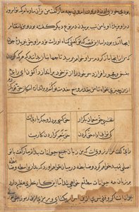 Página de Tales of a Parrot Nome: página de texto, c. 1560. de Unbekannt