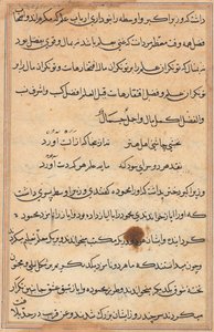 Página de Contos de um Papagaio Tuti-nama: página de texto, c. 1560. de Unbekannt