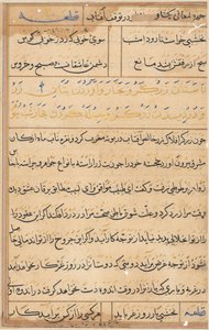 Página de Contos de um Papagaio Tuti-nama: página de texto, c. 1560. de Unbekannt