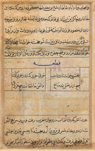 Página de Contos de um Papagaio Tuti-nama: página de texto, c. 1560. de Unbekannt