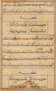 Página de Contos de um Papagaio Tuti-nama: página de texto, c. 1560. de Unbekannt