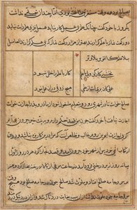 Página de Contos de um Papagaio Tuti-nama: página de texto, c. 1560. de Unbekannt