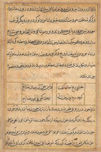Página de Contos de um Papagaio Tuti-nama: página de texto, c. 1560. de Unbekannt