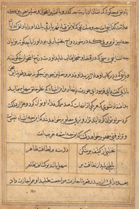 Página de Contos de um Papagaio Tuti-nama: página de texto, c. 1560. de Unbekannt