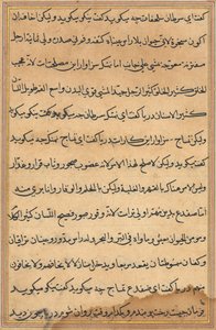 Página de Contos de um Papagaio Tuti-nama: página de texto, c. 1560. de Unbekannt