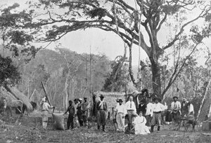 Encontro de chá paraguaio, Paraguai, 1911 de Unbekannt