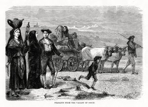 Camponeses do vale de Ossun, França, 1879 de Unbekannt