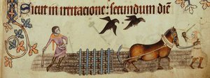 Camponeses que aram do Saltério de Luttrell, ca 1330 de Unbekannt