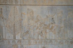 Persepolis, Irã (foto) de Unbekannt