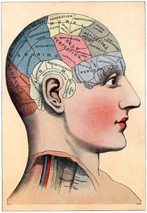 Gráfico de frenologia, mostrando áreas presumidas de atividade do cérebro, c1920 de Unbekannt