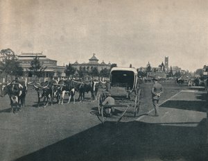 Pietermaritzburg, c1900. de Unbekannt