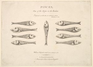 Peixes: Hogarths Quadrille Fish, ca. 1730 de Unbekannt