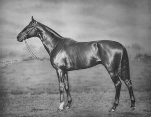 Polymelus, 1902-1924, 1911 de Unbekannt