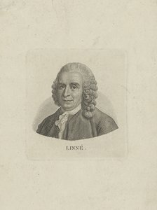 Retrato de Carl Linnaeus 1707-1778, c. 1780 de Unbekannt