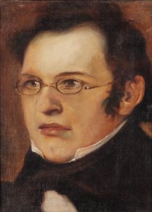 Retrato de Franz Schubert 1797-1828, Primeiro trimestre do 19º cen... de Unbekannt
