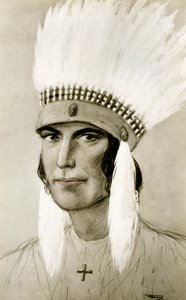 Retrato de um índio americano, século XX de Unbekannt