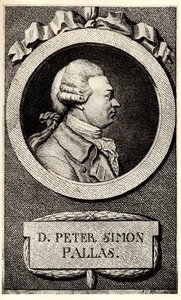 Retrato do zoólogo e botânico Peter Simon Pallas 1741-1811, início do século XIX. de Unbekannt