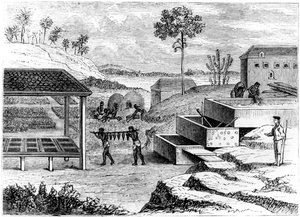 Preparing indigo, Santo Domingo, 1873 de Unbekannt