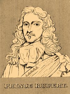 Príncipe Rupert, 1619-1682, 1830. de Unbekannt