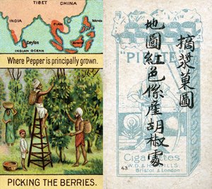 Principais áreas para a produção de pimenta, da série de cartões de cigarros "Produtos do Mundo" produzidos pela Wills Cigarros "Pirata" para o mercado na China de Unbekannt