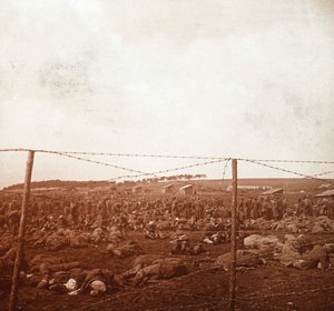 Campo de prisão, c1914-c1918 de Unbekannt