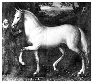 Rainha Elizabeth É cavalo, 1896 de Unbekannt