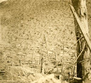Barranco em Les Éparges, norte da França, c1914-c1918. de Unbekannt