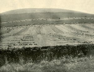 Reaper & Binder Competition, Monte Blowhard, perto de Ballarat, 1901. de Unbekannt