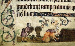 Colhendo e ligando feixes do Saltério de Luttrell, ca 1330 de Unbekannt