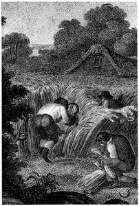 Colhendo com foices e amarrando as polias, Inglaterra, c1800 de Unbekannt